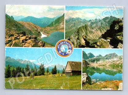 Pohlednice Vysoké Tatry - panoramata (M11093)
