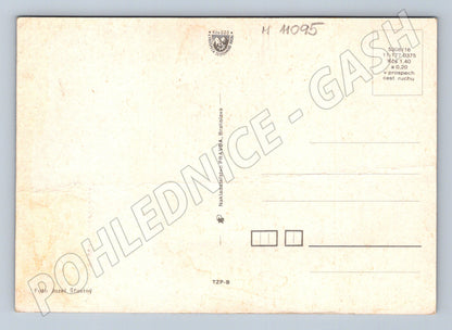 Pohlednice Nízké Tatry – Čertovica, zimní scenérie (M11095)