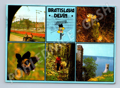 Pohlednice Bratislava - Devín 1977 (M11117)