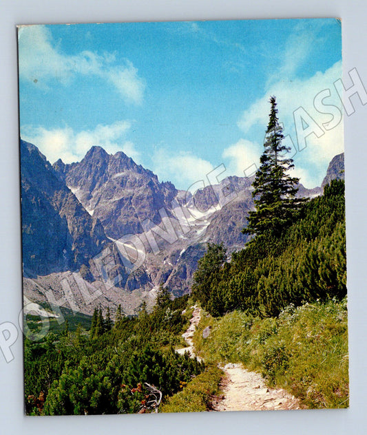 Pohlednice Vysoké Tatry - turistická stezka (M11138)