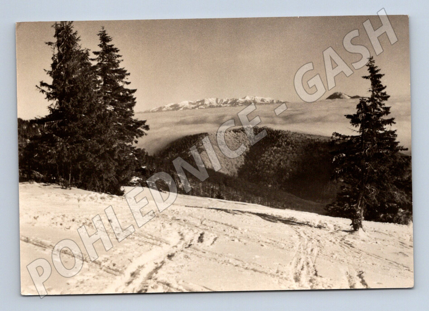 Pohlednice Malá Fatra - Chleb a Roháče, Zima (M11172)