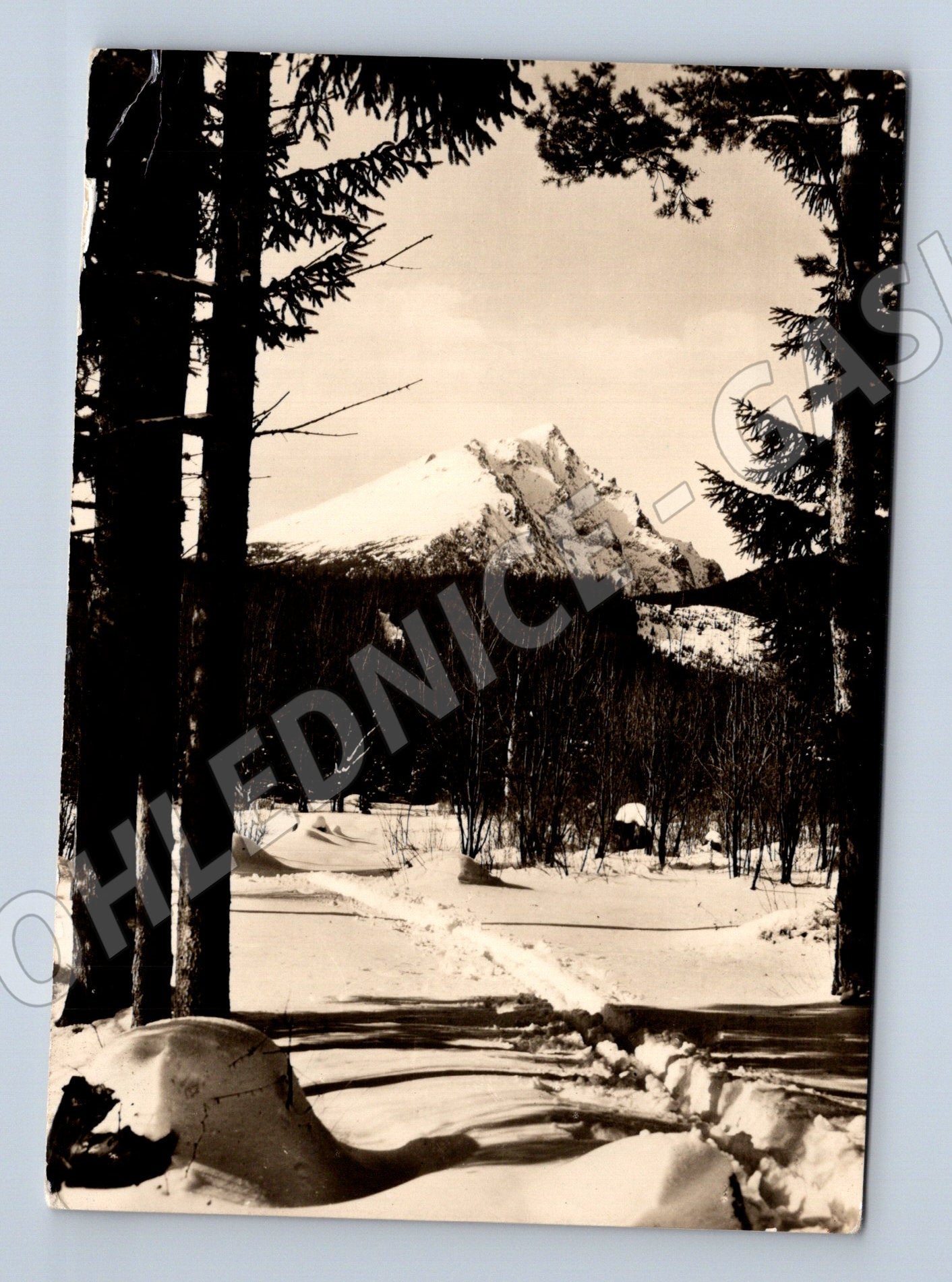 Pohlednice Vysoké Tatry - Slavkovský štít (M11186)