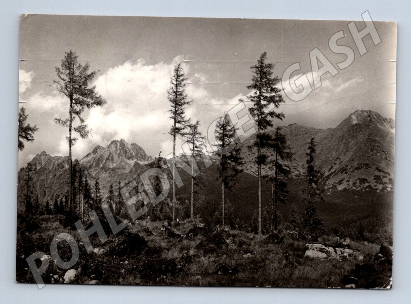 Pohlednice Vysoké Tatry - pohled z Drigantu (M11197)