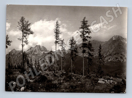 Pohlednice Vysoké Tatry - pohled z Drigantu (M11197)
