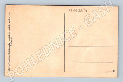 Pohlednice Budatín - hrad a most (M11259)