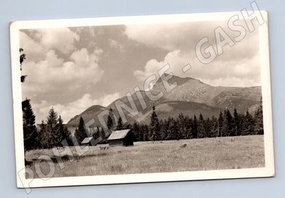 Pohlednice Vysoké Tatry Kriváň 2496m (M11286)