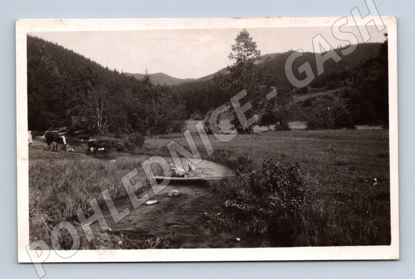 Pohlednice Štubnianské Teplice – slovenská krajina (M11321)
