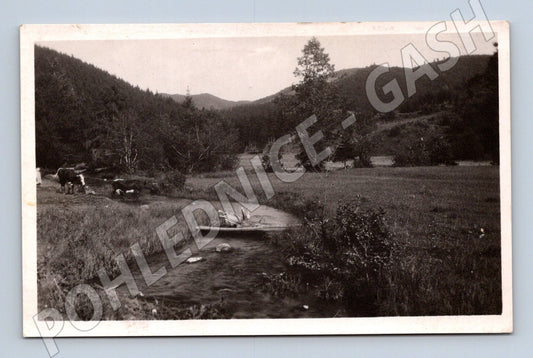 Pohlednice Štubnianské Teplice – slovenská krajina (M11321)