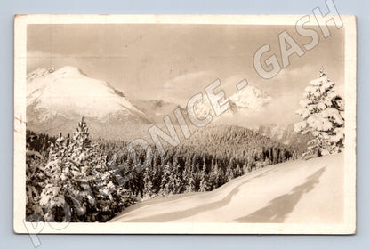 Pohlednice Vysoké Tatry - Štrbské pleso (M11339)