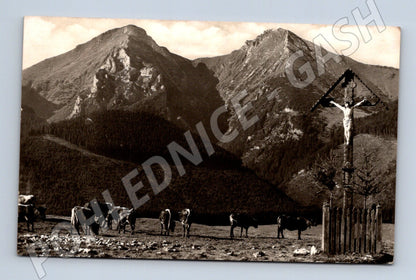Pohlednice Belianské Tatry Havran 2154 m (M11382)
