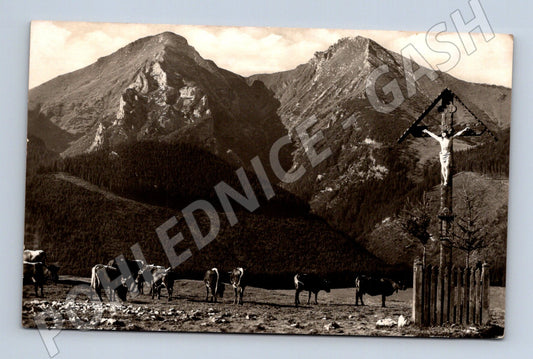 Pohlednice Belianské Tatry Havran 2154 m (M11382)