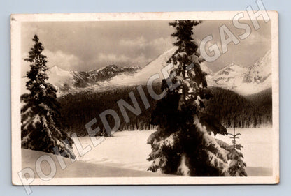 Pohlednice Vysoké Tatry Štrbské pleso (M11385)