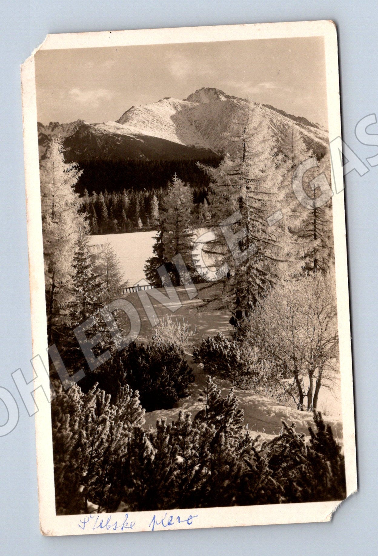 Pohlednice Vysoké Tatry - Štrbské Pleso (M11397)