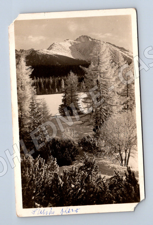 Pohlednice Vysoké Tatry - Štrbské Pleso (M11397)