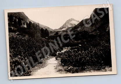 Pohlednice Vysoké Tatry - Malá Studená dolina (M11408)