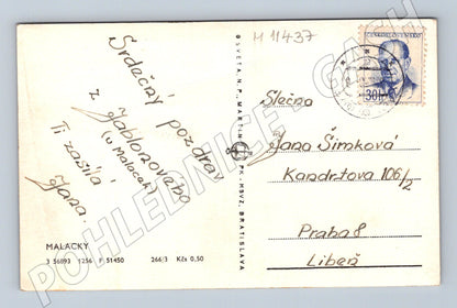 Pohlednice Malacky škola 40. léta (M11437)