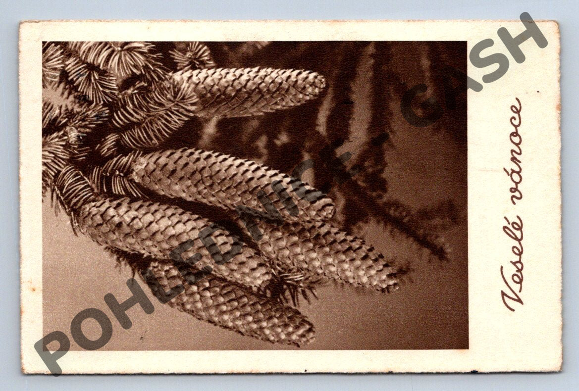 Pohlednice Čechy a Morava 1939 – zimní motiv (M1144)