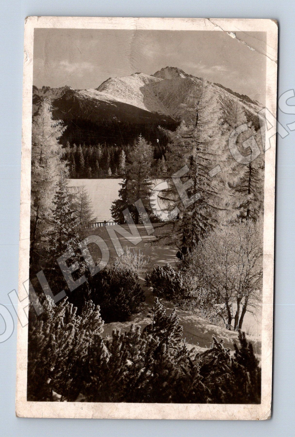Pohlednice Vysoké Tatry Štrbské Pleso (M11461)