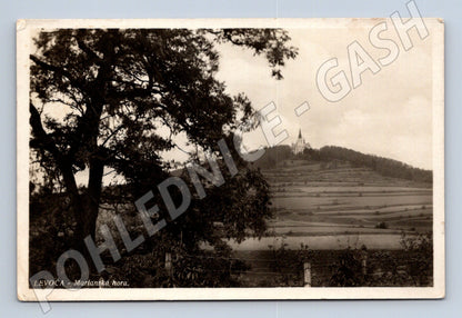 Pohlednice Levoča – Mariánska hora (M11471)
