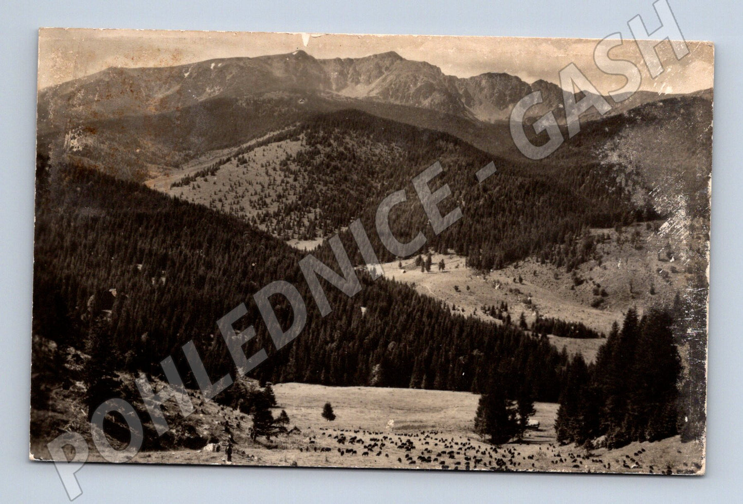 Pohlednice Nízké Tatry Ďumbier 2045 m (M11519)