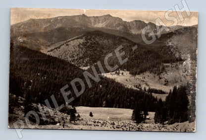 Pohlednice Nízké Tatry Ďumbier 2045 m (M11519)
