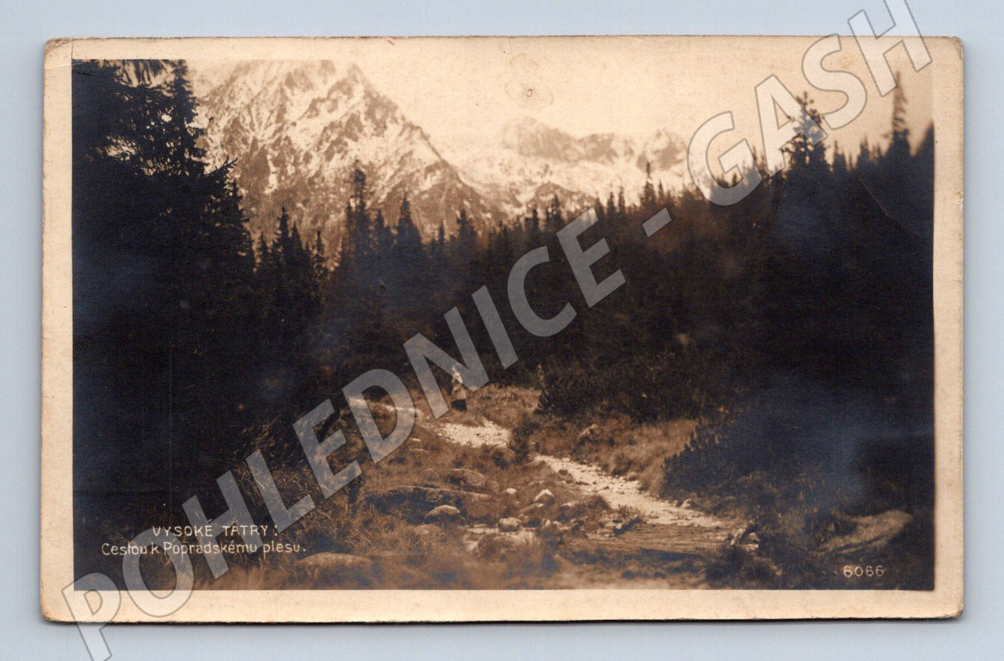 Pohlednice Vysoké Tatry Cestou k Popradskému plesu (M11570)