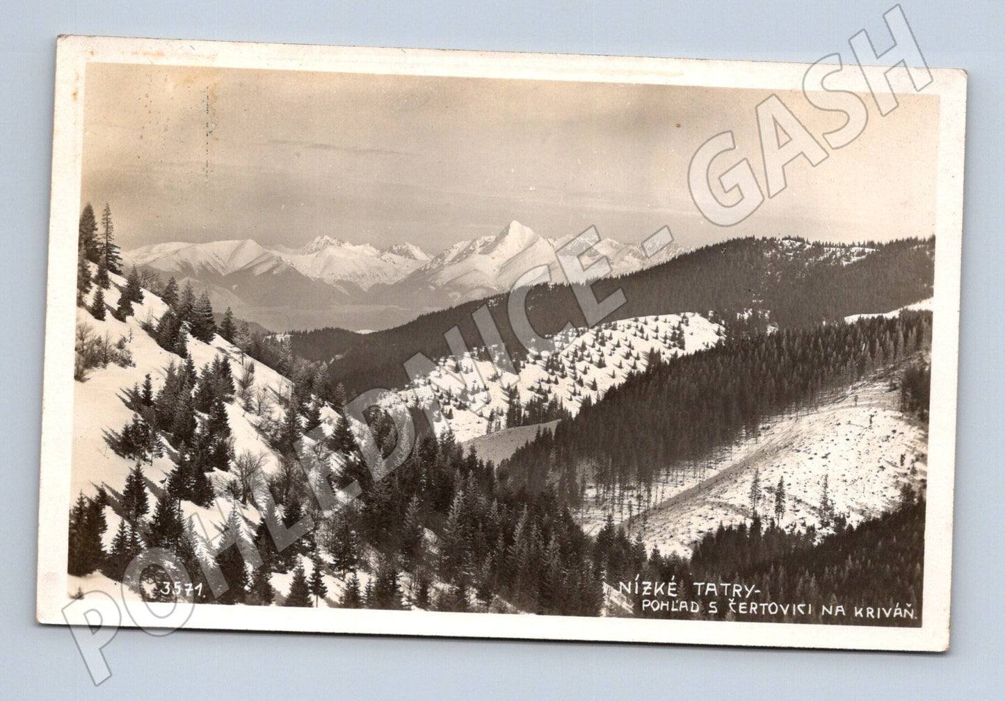 Pohlednice Nízké Tatry - pohled na Kriváň (M11679)