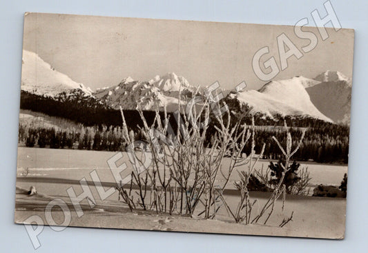 Pohlednice Vysoké Tatry - Štrbské pleso, zimní motiv (M11712)