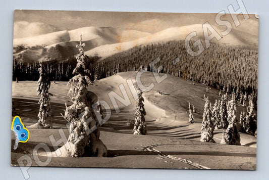 Pohlednice Nízké Tatry Čertovica – zimní panorama (M11715)