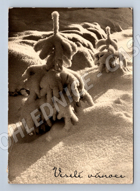 Pohlednice Veselé Vánoce – stará čs. pohlednice (M11755)