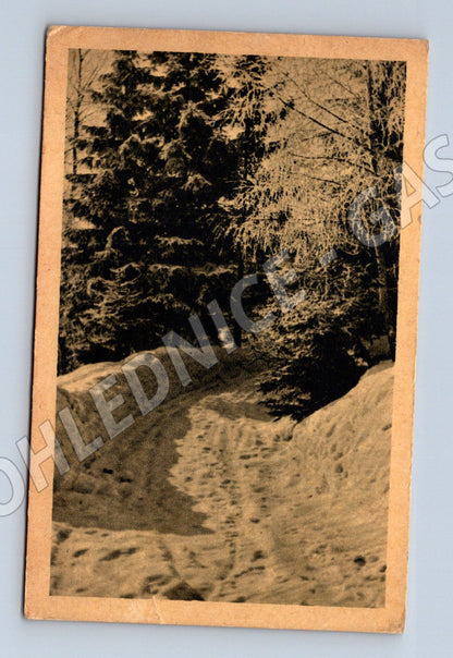 Pohlednice Stará pohlednice ČSR 1951 - přírodní motiv (M11771)