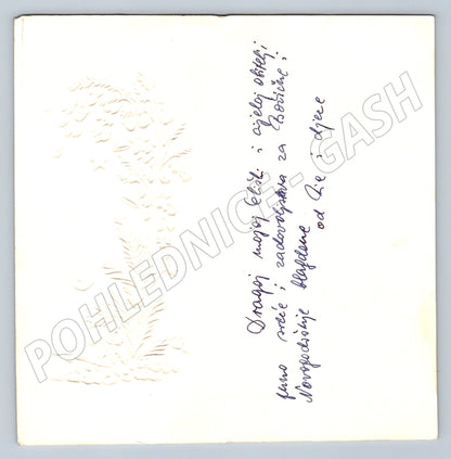 Pohlednice Itálie – embosovaná, FESTAUGURI (M11793)