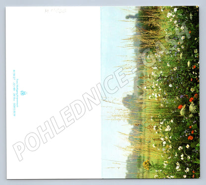 Pohlednice Rozkvetlá louka Herzliche Grüße (M11806)