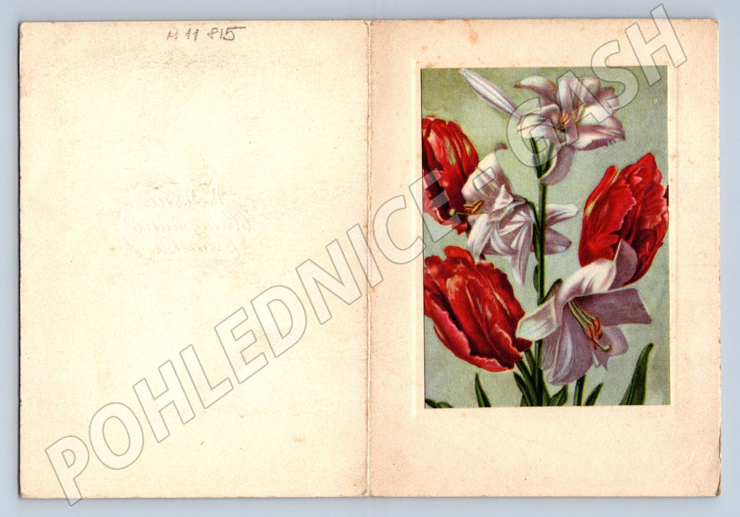 Pohlednice Květiny, lilie a tulipány (M11815)