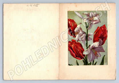 Pohlednice Květiny, lilie a tulipány (M11815)