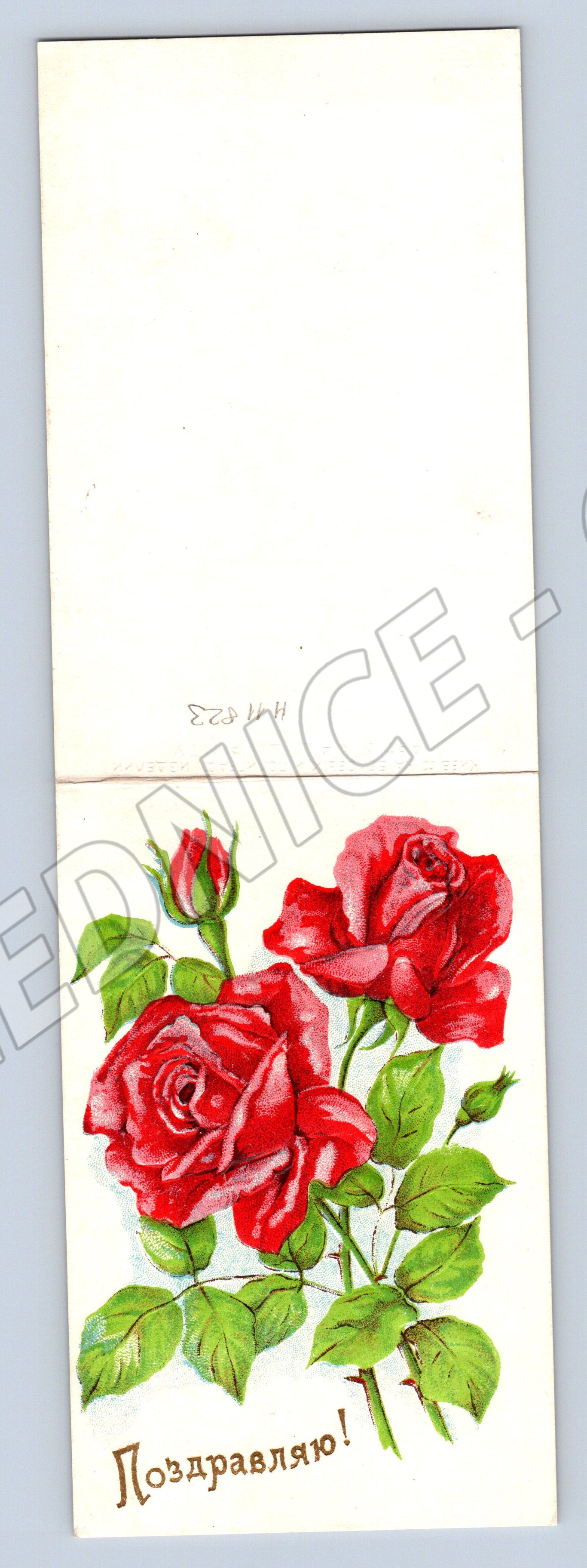 Pohlednice červené růže 1960 skládací (M11823)