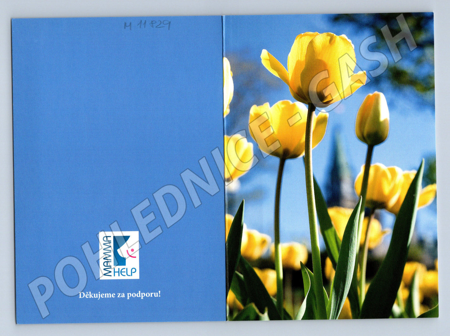 Pohlednice žluté tulipány Mamma HELP (M11829)