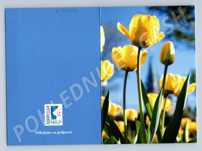 Pohlednice žluté tulipány Mamma HELP (M11829)