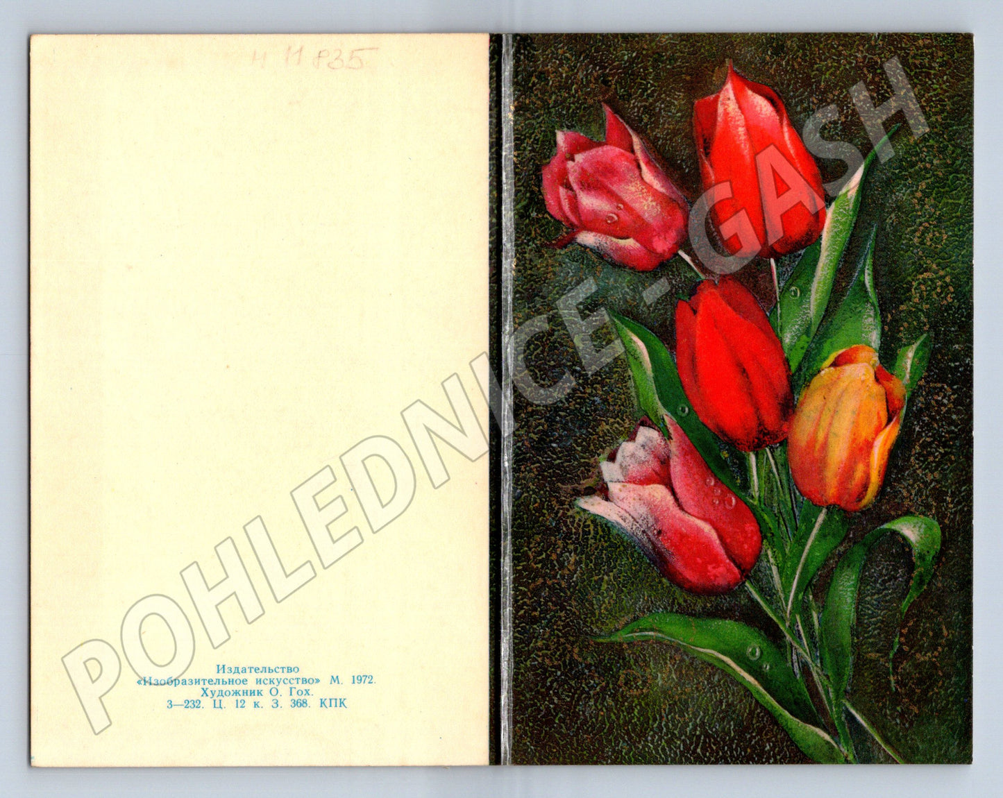 Pohlednice s tulipány, gratulace Maďarsko (M11835)