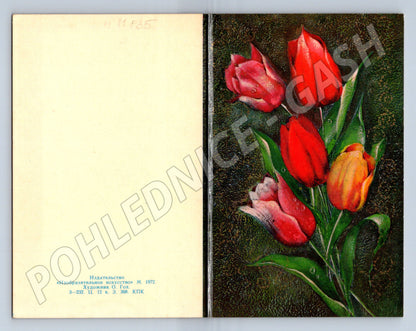 Pohlednice s tulipány, gratulace Maďarsko (M11835)