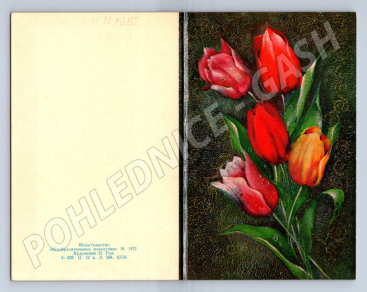 Pohlednice s tulipány, gratulace Maďarsko (M11835)