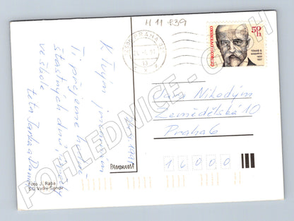 Pohlednice růže ve váze, ČR 1991 (M11839)