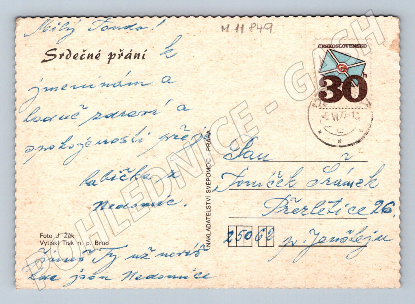 Pohlednice květiny karafiáty (M11849)