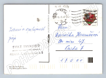 Pohlednice Květiny ve váze, ručně psaná (M11854)