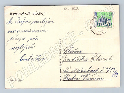 Pohlednice růže s přáním (M11863)