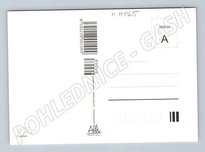 Pohlednice barevné květiny – žluté a růžové sedmikrásky (M11865)