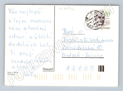 Pohlednice SRDEČNÉ PŘÁNÍ květiny (M11872)