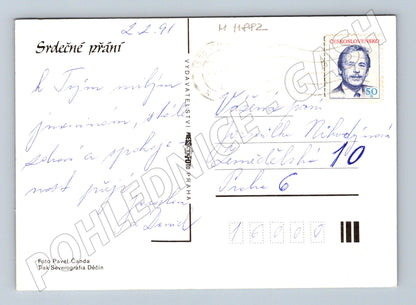 Pohlednice žluté růže, 1991, známka ČSFR (M11882)