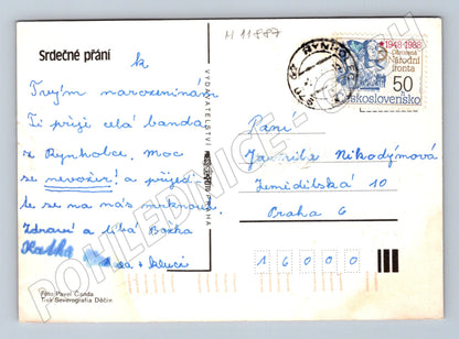 Pohlednice Květiny ve váze, ČSR (M11887)