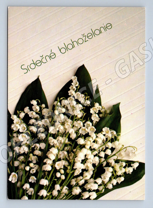 Pohlednice Srdečné blahoželanie konvalinky (M11896)